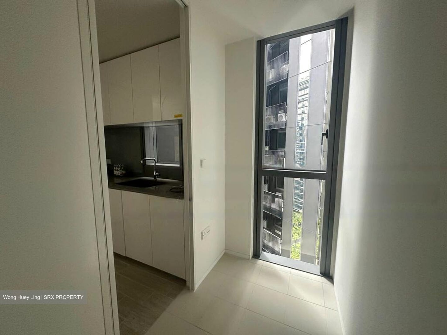 Amber Park (D15), Condominium #562239101